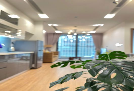 ハノイ賃貸アパート：Vinhomes Metropolisの1ベッドルーム（55㎡）賃貸
